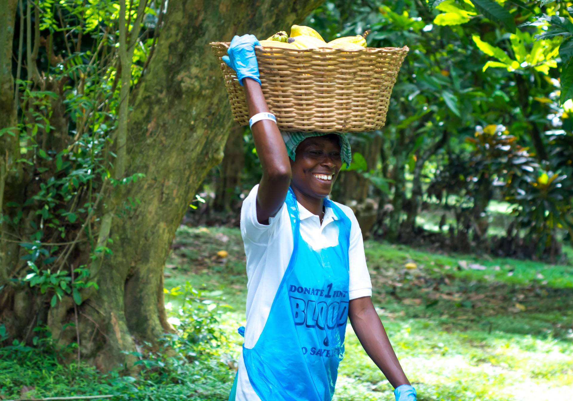 Foto: CocoA Switzerland GmbH