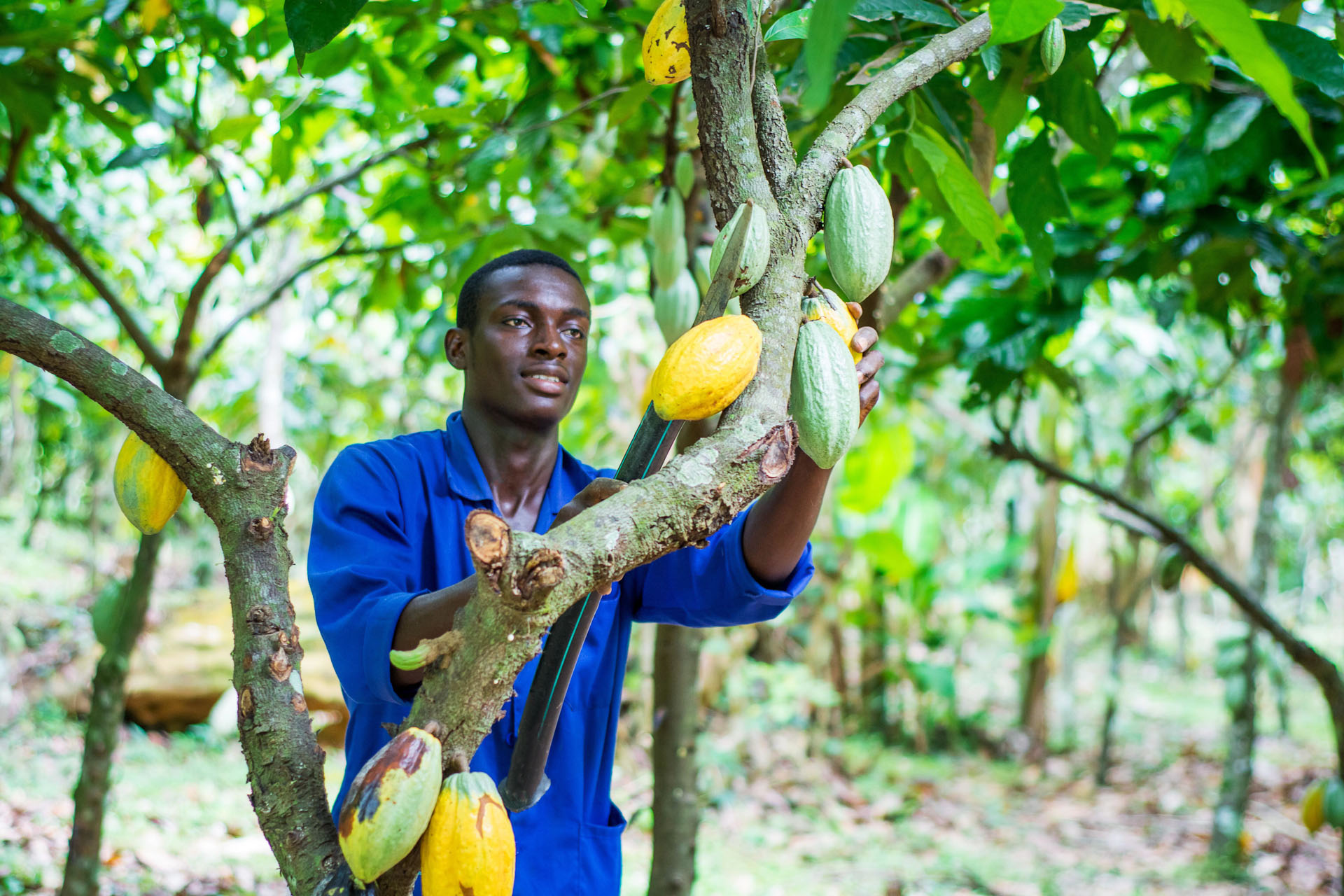 Foto: CocoA Switzerland GmbH