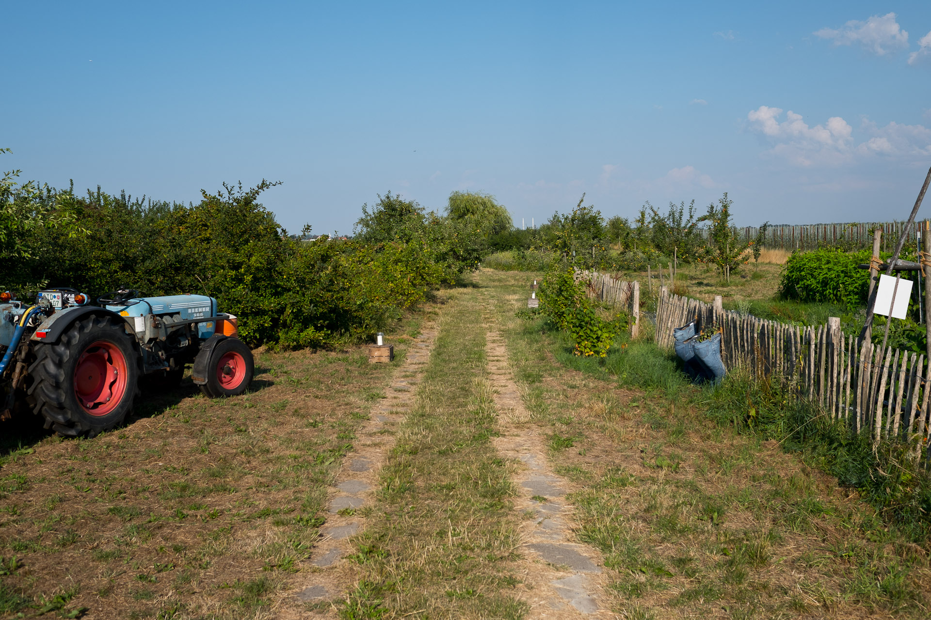 Farm to Table Dinner mit Jens Rittmeyer