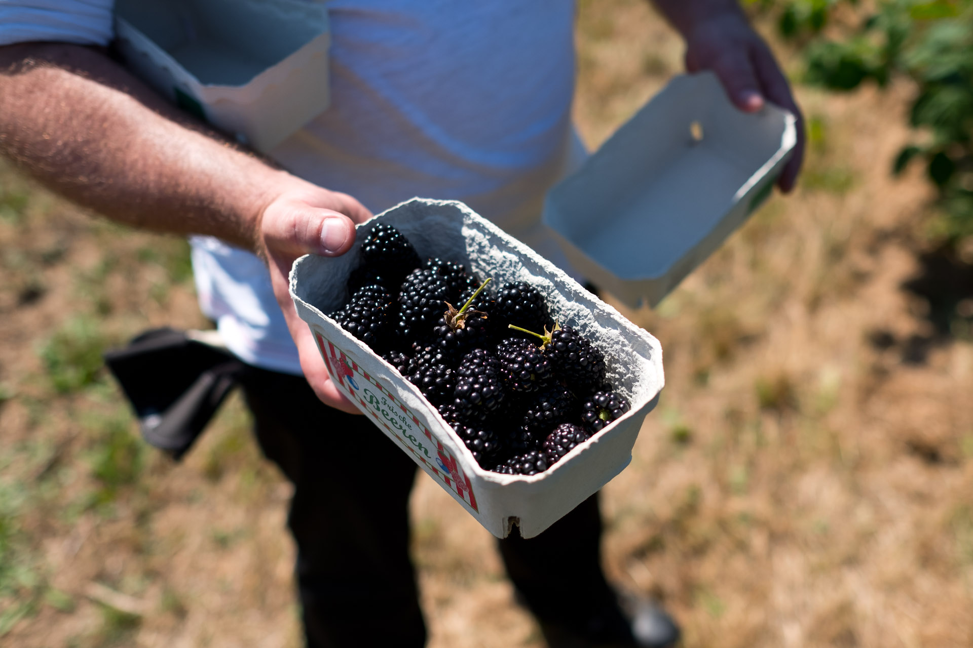 Farm to Table Dinner mit Jens Rittmeyer