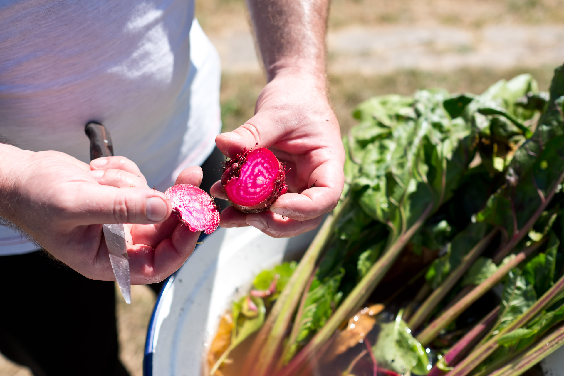 Farm to Table Dinner mit Jens Rittmeyer