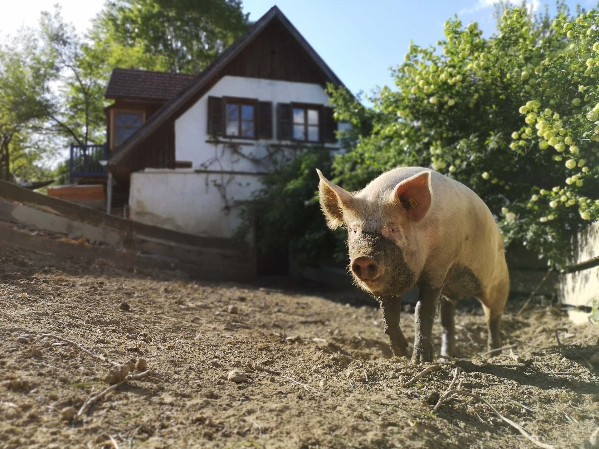 Foto: Annika Grieb / @wurstkaeszenario